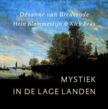 Mystiek in de lage landen - Desanne van Brederode, Hein Blommestijn, ...
