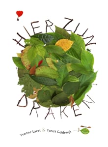 Hier zijn draken - Yorick Goldewijk