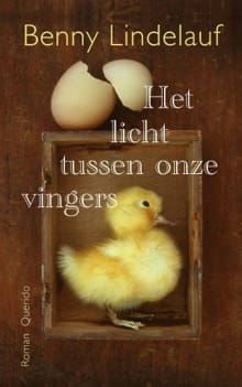 Het licht tussen onze vingers - Benny Lindelauf
