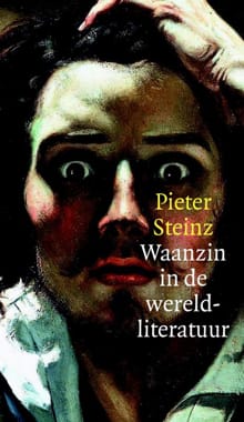 Waanzin in de wereldliteratuur - Pieter Steinz