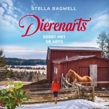 Kerst met de arts - Stella Bagwell