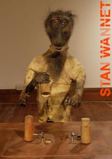 Rational animal - Stan Wannet, Cornel Bierens