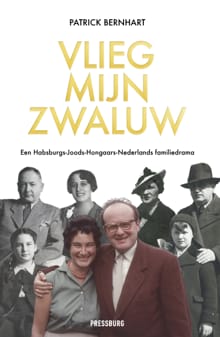 Vlieg, mijn zwaluw - Patrick Bernhart