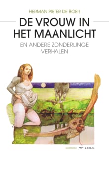 De vrouw in het maanlicht - Herman Pieter de Boer