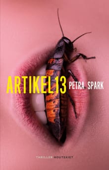 Artikel 13 - Petra Spark