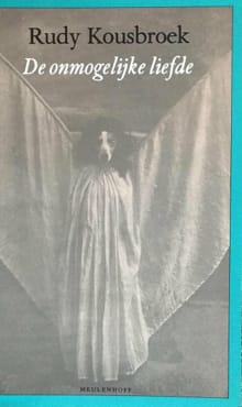 De onmogelijke liefde - R. Kousbroek, Rudy Kousbroek