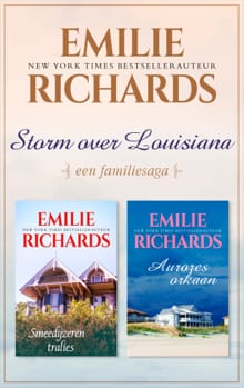 Storm over Louisiana - Emilie Richards