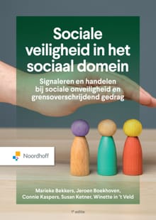 Sociale veiligheid in het sociaal domein - Marieke Bekkers, Jeroen Boekhoven, ...