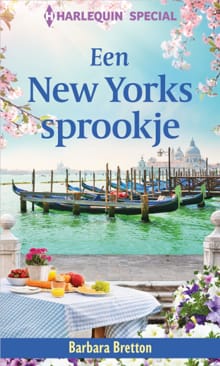 Een New Yorks sprookje - Barbara Bretton
