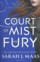 A court of mist and fury