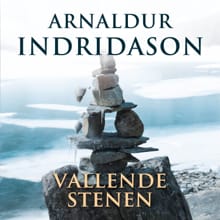 Vallende stenen - Arnaldur Indriðason