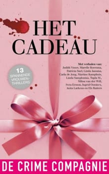 Het cadeau- alle verhalen - Judith Visser, Marelle Boersma, ...