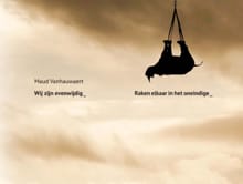 Wij zijn evenwijdig - Maud Vanhauwaert