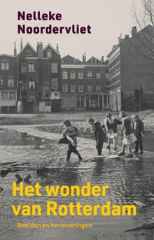 Het wonder van Rotterdam - Nelleke Noordervliet