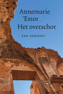Het overschot - Annemarie Estor