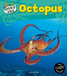 Octopus - Louise Spilsbury