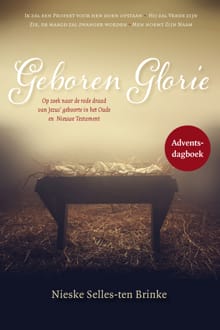 Geboren Glorie - Nieske Selles-ten Brinke