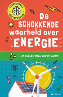 De schokkende waarheid over energie - Mike Goldsmith