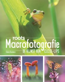 Macrofotografie - Edwin Giesbers,  Roots