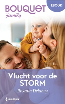 Vlucht voor de storm - Roxann Delaney
