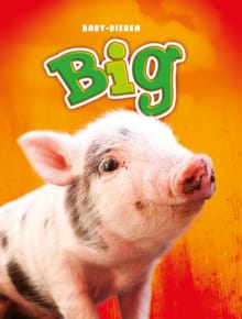 Big - Christina Leaf