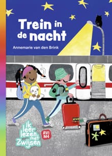 Trein in de nacht - Annemarie van den Brink