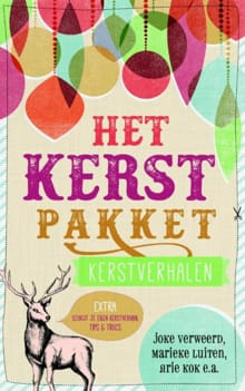 Het kerstpakket - Joke Verweerd, Marieke Luiten, ...