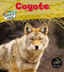 Coyote - Louise Spilsbury