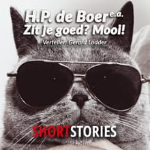 Zit je goed? Mooi! - Herman Pieter de Boer