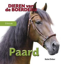 Paard - Katie Dicker