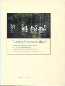 Tussen droom en daad - Eddy van Vliet