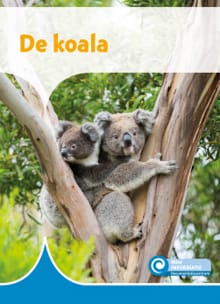 De koala - Ditte Merle