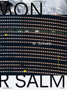 NOWHERE - Frank van der Salm, Shumon Basar, ...