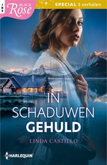 In schaduwen gehuld - Linda Castillo
