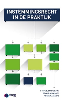 Instemmingsrecht in de praktijk - Steven Jellinghaus, Dennis Schwartz, ...
