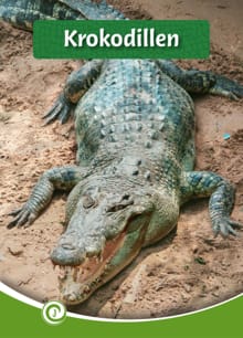 Krokodillen - Geert-Jan Roebers