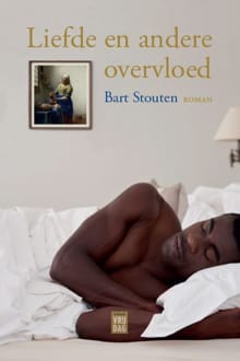 Liefde en andere overvloed - Bart Stouten