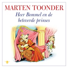 Heer Bommel en de betoverde prinses - Marten Toonder