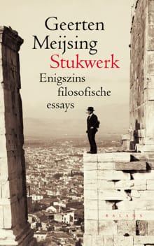 Stukwerk -  Meijsing