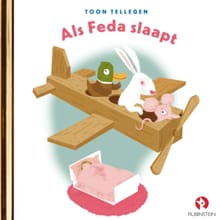 Als Feda slaapt - Toon Tellegen