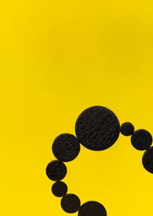 Diamonds are not for everyone. Kees de Goede - Kees de Goede, Tommy Wieringa, ...