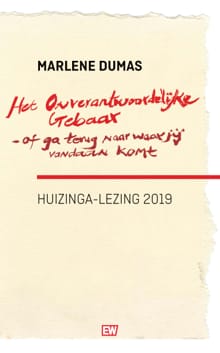 Het onverantwoordelijke gebaar-of ga terug naar waar je vandaan komt - Marlene Dumas