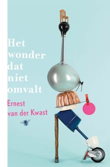 Het wonder dat niet omvalt - Ernest van der Kwast