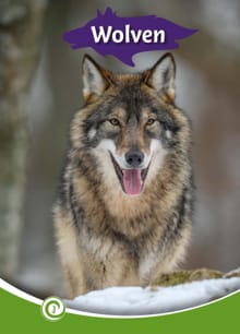 Wolven - Geert-Jan Roebers