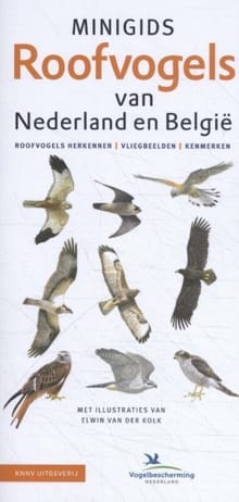 Minigids Roofvogels van Nederland en België - Jip Louwe Kooijmans