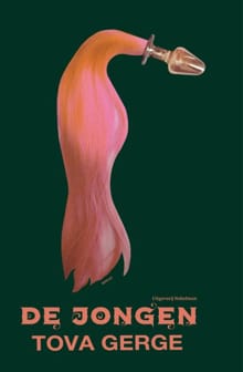 De jongen - Tova Gerge