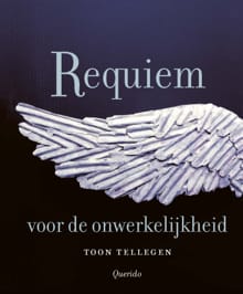 Requiem voor de onwerkelijkheid - Toon Tellegen