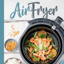 Airfryer - Danny Jansen, Patricia Snijders