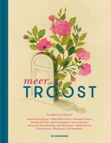 Meer troost - Tine Marie van Damme, Dominique van Malder, ...