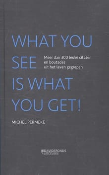 What you see is what you get! - Michel Permeke